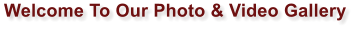 Welcome To Our Photo & Video Gallery